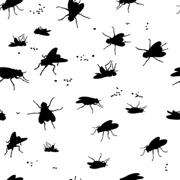 Fly, various images, vector, black silhouette, pattern