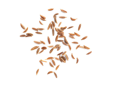 Caraway isolated on white background.