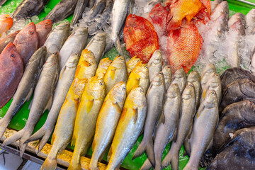 Fresh raw fish selling in wet market