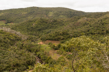 landscape with trees