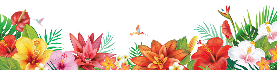 Banner from tropical plants and exotic flowers