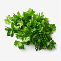 Fototapeta premium bunch of parsley isolated