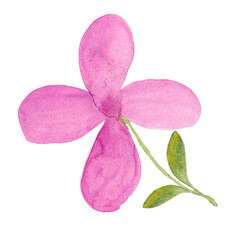 Watercolor purple hydrangea blooming clipart, summer flowers petals