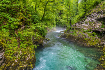 Fototapeta premium A view down the turbulent Radovna River in the Vintgar Gorge in Slovenia in summertime