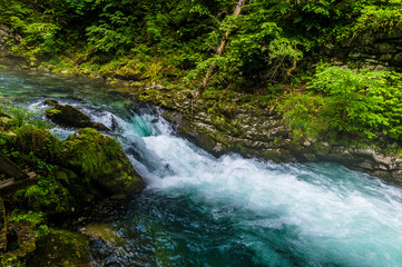 Fototapeta premium A view as the turbulent Radovna River tumbles over falls in the Vintgar Gorge in Slovenia in summertime