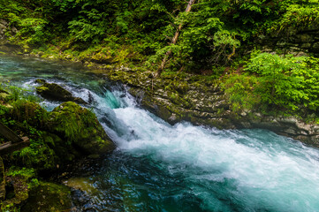 A view as the turbulent Radovna River tumbles over falls in the Vintgar Gorge in Slovenia in summertime