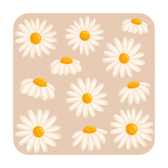 Obraz premium Greeting card with cute chamomile flowers. Botanical vector isolated illustration for postcard, poster, ad, decor, fabric and other uses.