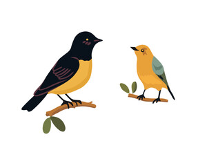 Vector isolated illustration of two birds sitting on a branch on a white background.