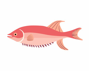 Vector isolated illustration of a pink fish on a white background.