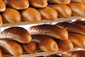 Closeup fresh bread with golden crust on store shelves, sunlight