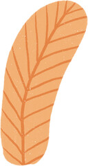 Hand drawn Tropical Leaf Illustration