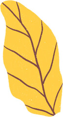 Hand drawn Tropical Leaf Illustration