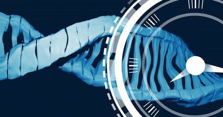 Animation of ticking clock icon over dna structure against blue background - Powered by Adobe