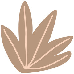 Hand drawn Abstract Botanical