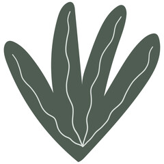 Hand drawn Abstract Botanical