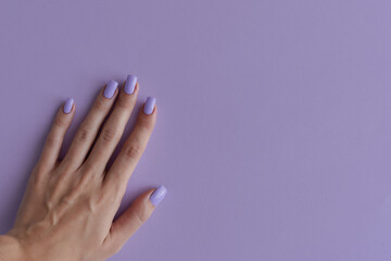 Female's hand with nails of purple color. Gelish manicure. Square fingernails with permanent nail polish of trendy lavender color - 627737106