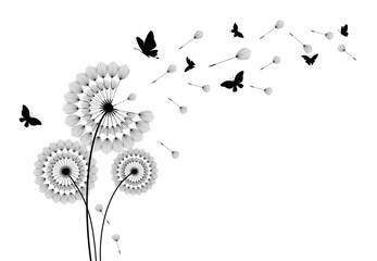 Dandelion with flying butterflies and seeds, vector illustration. Vector isolated decoration element from scattered silhouettes.