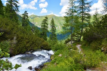Fototapeta na wymiar View of Muritzen stream in Ankogelgruppe, High Tauern, Austria