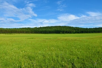 Karst dry intermittent lakebed at Petelinje and a forest covered hill in Notranjska, Slovenia