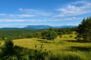 Fototapeta na wymiar Landscape of Notranjska, Slovenia with grassland and forests and Nanos plateau