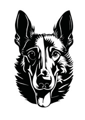 tete de chien vecteur , berger belge