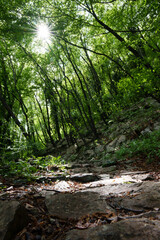 Alter Wanderweg in Italien