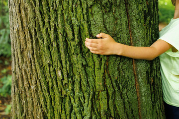 Little girl hug a hudde tree. Deforestation environmental disaster. Forest Degradation.