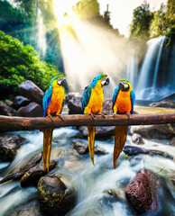 Blue-and-Yellow Macaw Ara ararauna, also known as the Blue-and-Gold Macaw against tropical...