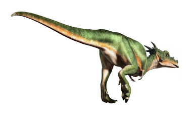 Rear View. Dracorex is a genus of pachycephalosaurid dinosaur that lived in North America during the Late Cretaceous period, isolated on a white background , 3D Rendering