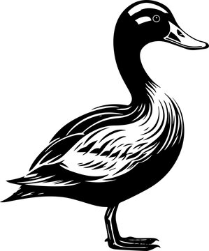 Duck outline vector art illustration