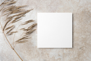 White square paper card mockup with dry grass decoration on trendy stony beige background