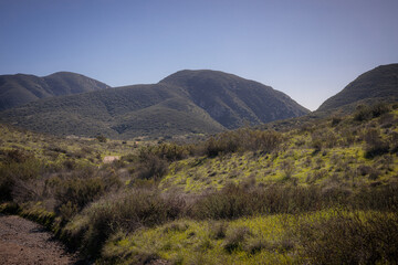 Mission Trails Open Space San Diego California