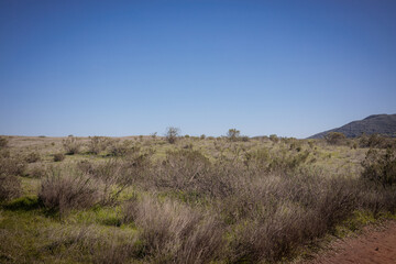 Mission Trails Open Space San Diego California