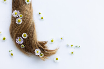 Medicinal flowers with smooth hair on a white background. Summer flowers in hair.