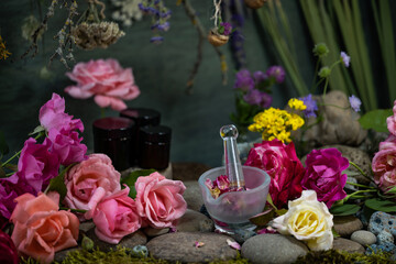 Phyto cosmetics. Flower composition. Wildflowers. Medicinal plants. Still life of wild flowers. Laboratory glassware. Making an ointment. Pharmacology. Herbal medicine. 
Láthyrus praténsis
Láthyrus sy