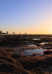 Naklejka premium Tidepools at Sunset on La Jolla Beach California