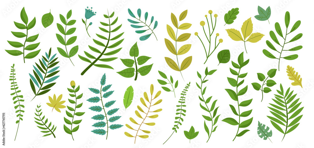 Wall mural vector plants branches and leaves collection with various shapes in green colours. flat design illus