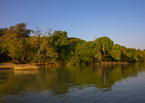 Lake Tana, Bahir Dar, Ethiopia