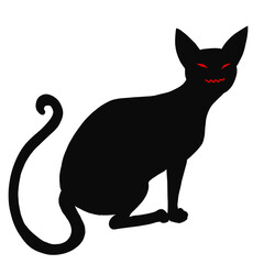 black cat