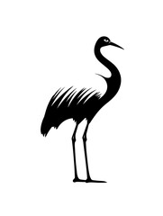 Fototapeta premium Flamingo outline vector art illustration