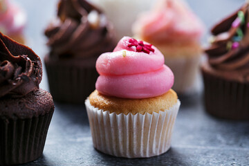 colorfull cupcake close up photo