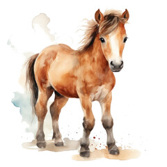 Obraz na płótnie Canvas Cute watercolor pony isolated