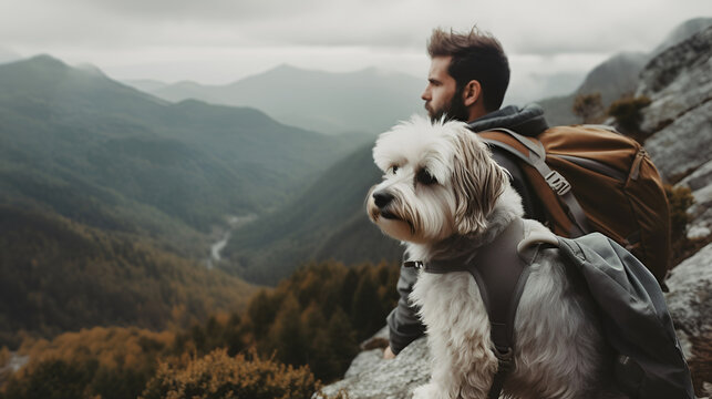 Man hiking in fluffy bearded gray dog in mountains in autumn pet adoption traveling with dog generative ai
