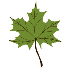 Leaf
