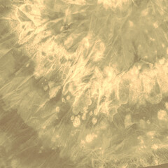 Monochrome Texture Art. Japanese Brush Pattern.