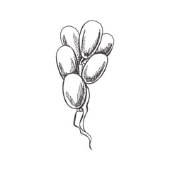 Hand drawn sketch of balloons isolated on white background. Template for postcard, banner, poster, web design. Back to School.