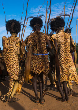 Dassanech men with leopard skins and ostrich feathers headwears during dimi ceremony to celebrate circumcision of teenagers, Omo valley, Omorate, Ethiopia