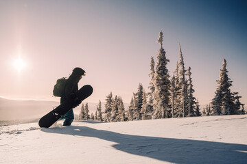 Silhouette of Snowboarder walking on snowy powder near  fir-tree forest covered with snow