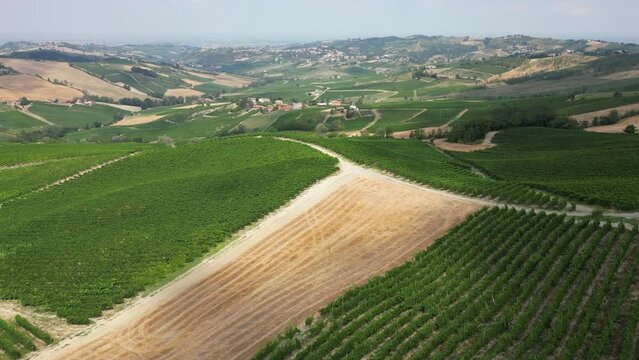 Europe, Italy , Montalto pavese Oltrepo' - drone aerial view of  wheat fields and vineyards in a hilltop village in the Apennines between Lombardy and Tuscany - wine production