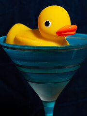 Ducky Photoshoot